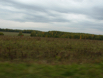 DSCF0050