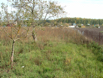 DSCF0062