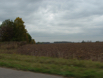 DSCF0045
