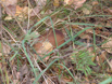 DSCF0039