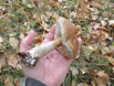 DSCF0042