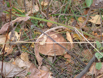 DSCF0040
