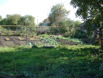 DSCF0007