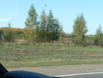 DSCF0015