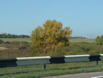 DSCF0017
