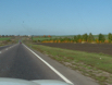 DSCF0020
