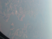 DSCF0002
