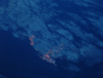 DSCF0007
