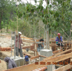 Carrying cement pot