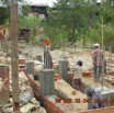 Cemented posts are coming up