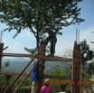Cement filling for posts