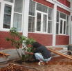 DSCN3429